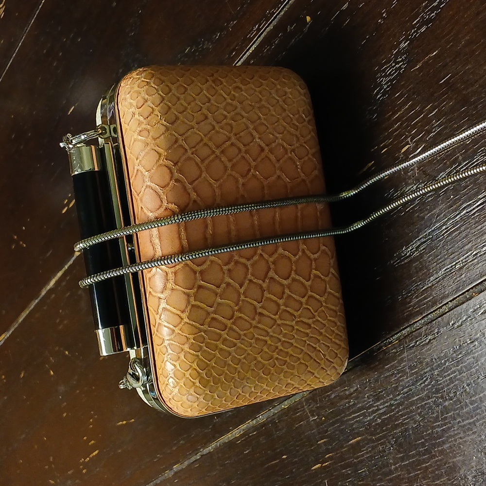 Dvf Tonda Python Hard Shell Clasp Clutch W/Chain … - image 1